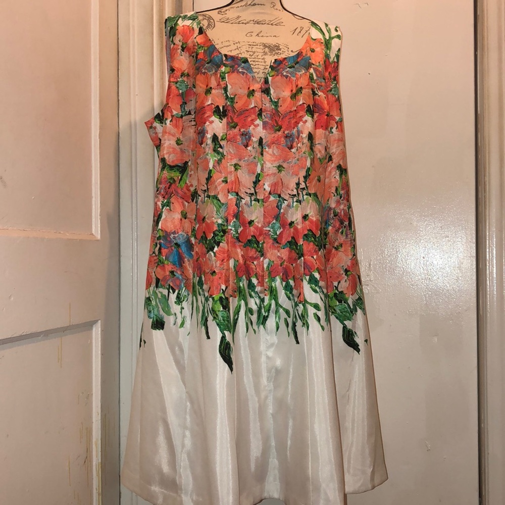 Dress Barn Woman